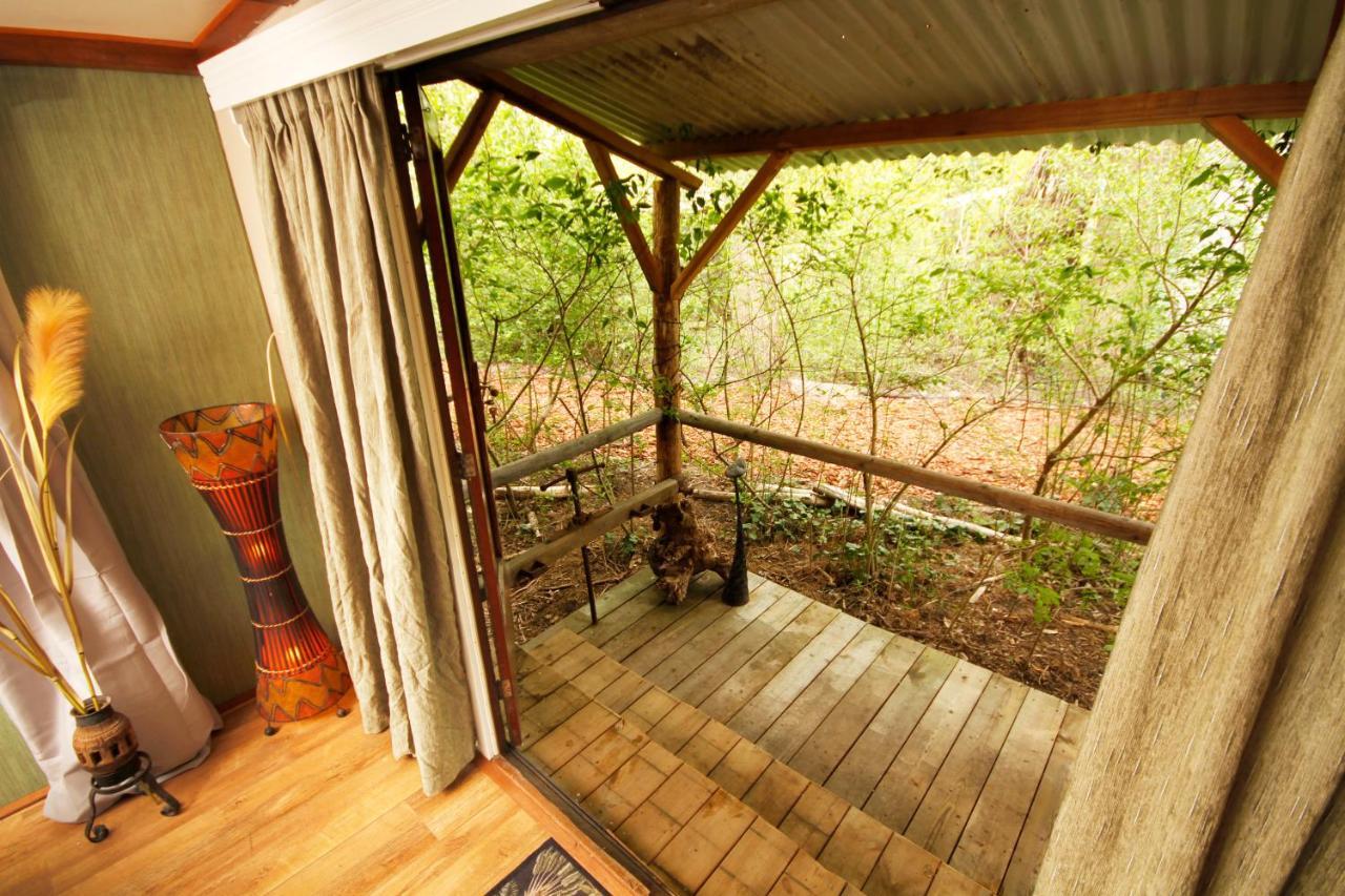 Bamboo Lodge جروننجن المظهر الخارجي الصورة