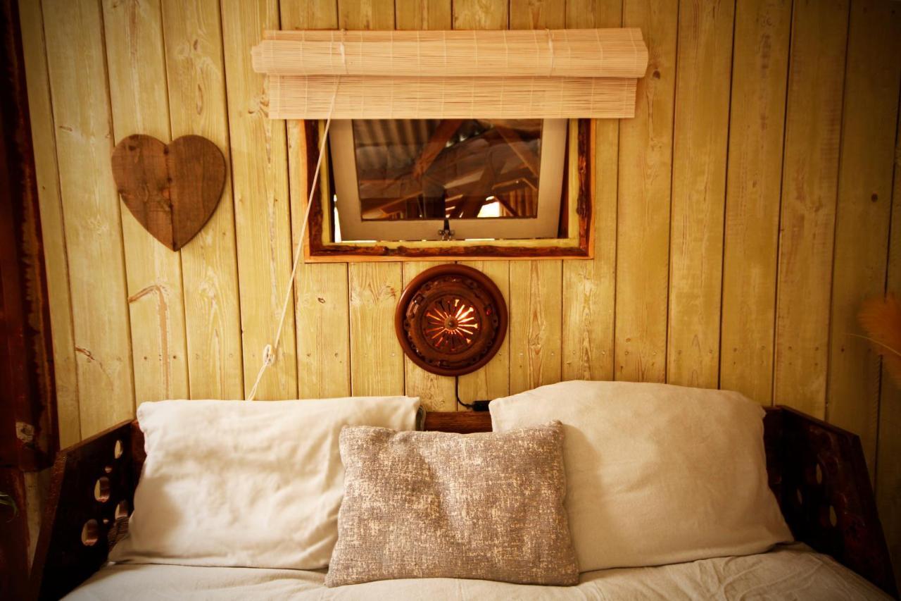 Bamboo Lodge جروننجن المظهر الخارجي الصورة
