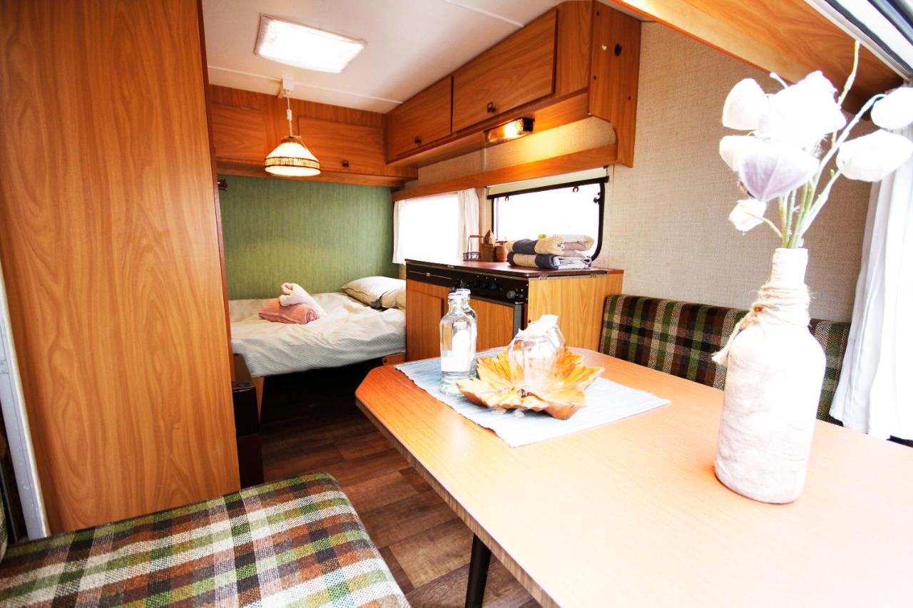Bamboo Lodge جروننجن المظهر الخارجي الصورة