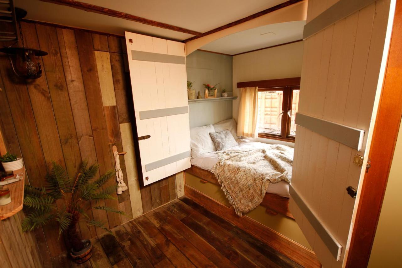 Bamboo Lodge جروننجن المظهر الخارجي الصورة