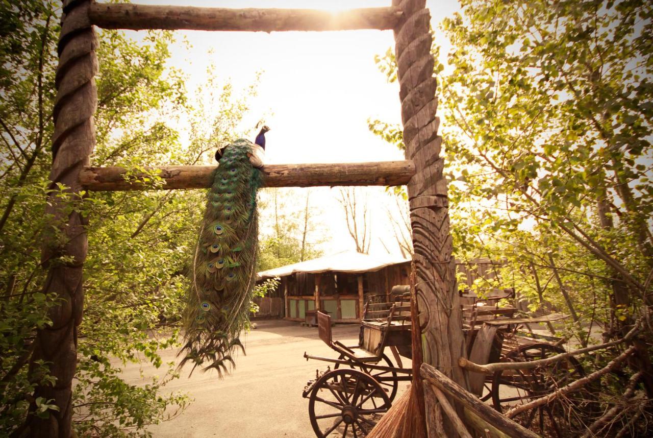 Bamboo Lodge جروننجن المظهر الخارجي الصورة