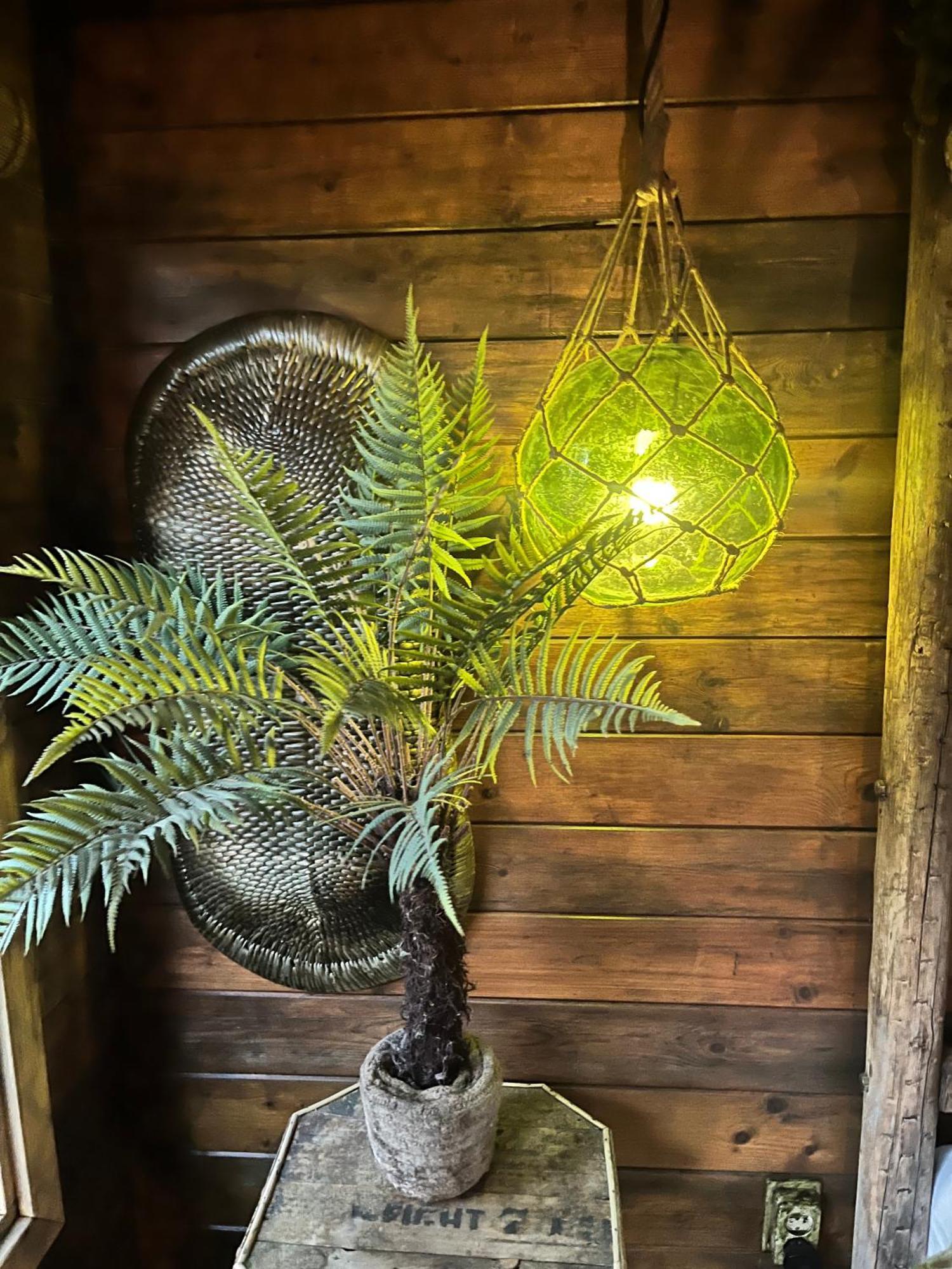 Bamboo Lodge جروننجن المظهر الخارجي الصورة